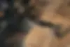 هوندا  آکورد