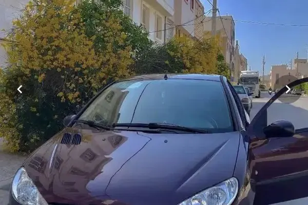 پژو  206