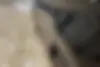 فونیکس،  FX