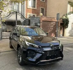 تویوتا، وایلدلندر