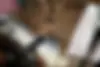 هوندا  آکورد