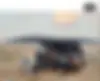دوو، داماس