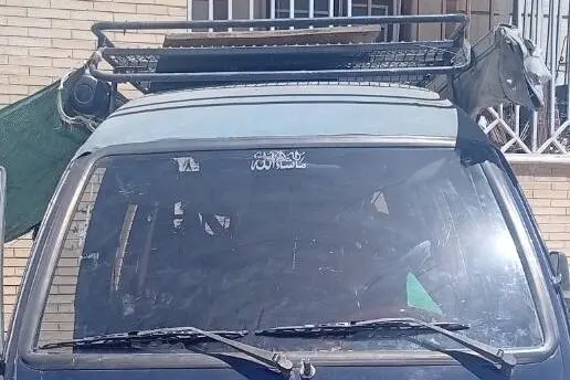 دوو،  داماس