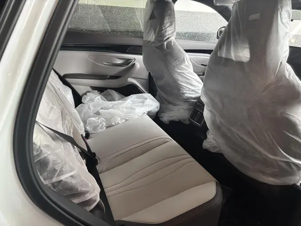 بی وای دی، سانگ پلاس DMi