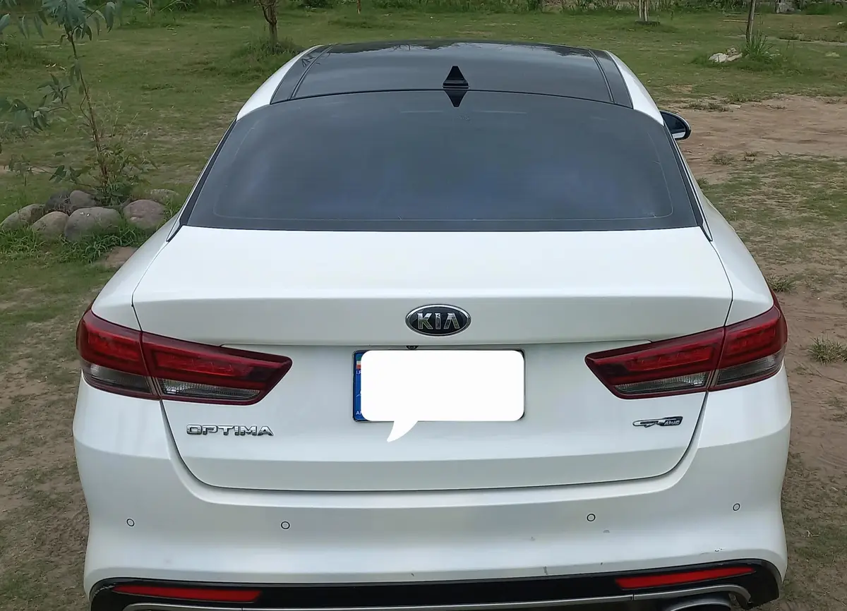 کیا،  اپتیما