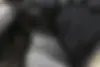 لاماری  ایما