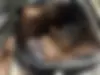 بنز  کلاس E