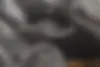 ریسپکت،  پرایم