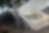 لکسوس،  LS