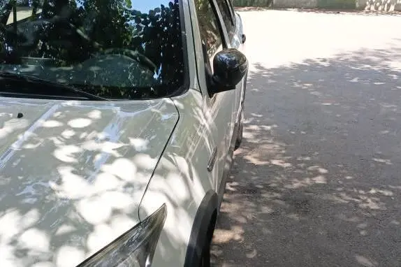 اطلس،  دنده ای