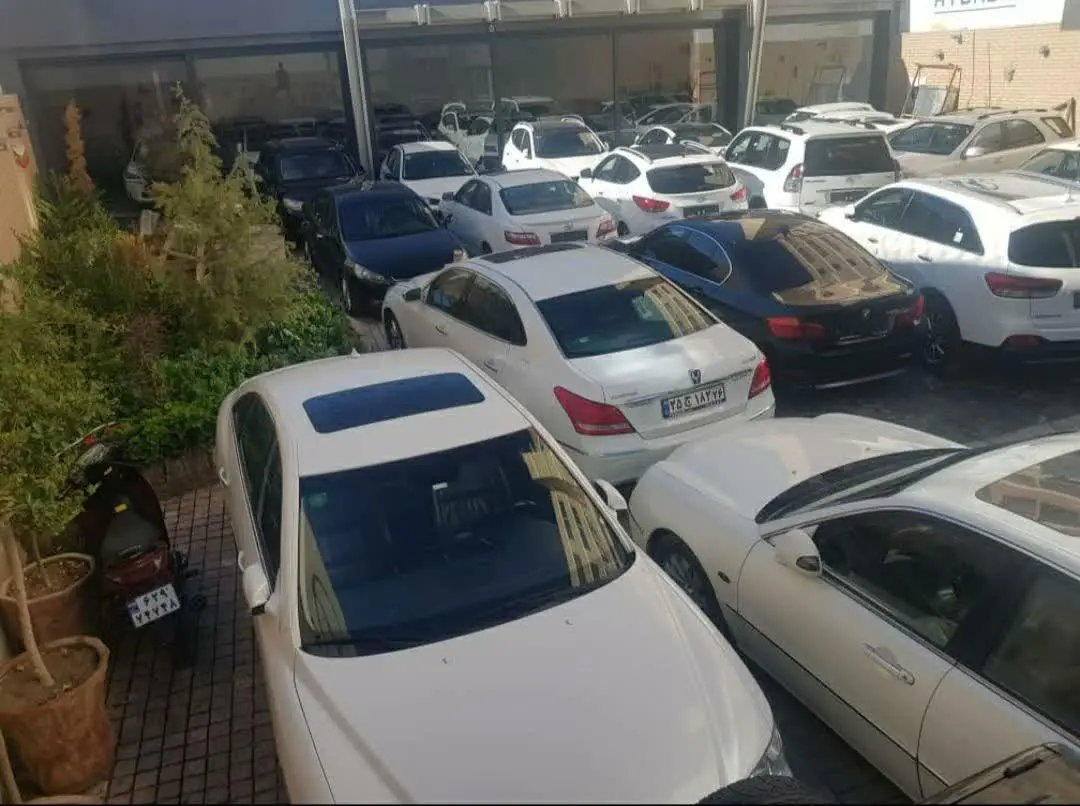 فونیکس  تیگو 7 پرو
