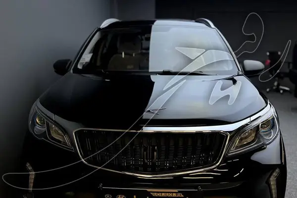 پیش فروش بی ای سی، X3 PRO