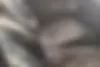 کوییک  GX
