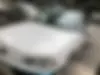 پژو، پارس