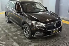 بورگوارد، BX7