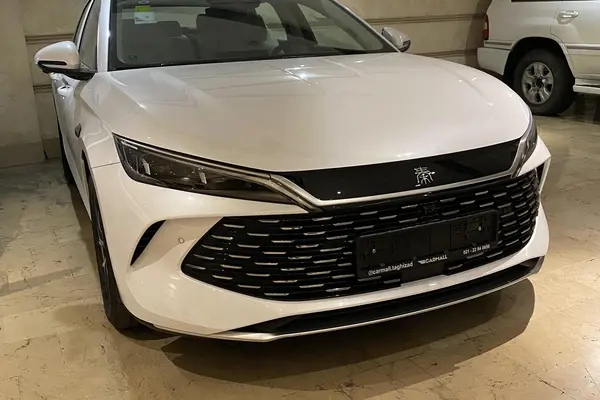 بی وای دی، چین L