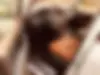 لکسوس،  LX