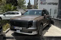هیوندای، پالیسید