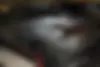 فونیکس،  FX