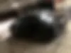 فونیکس  آریزو 6 پرو