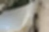 سمند،  LX