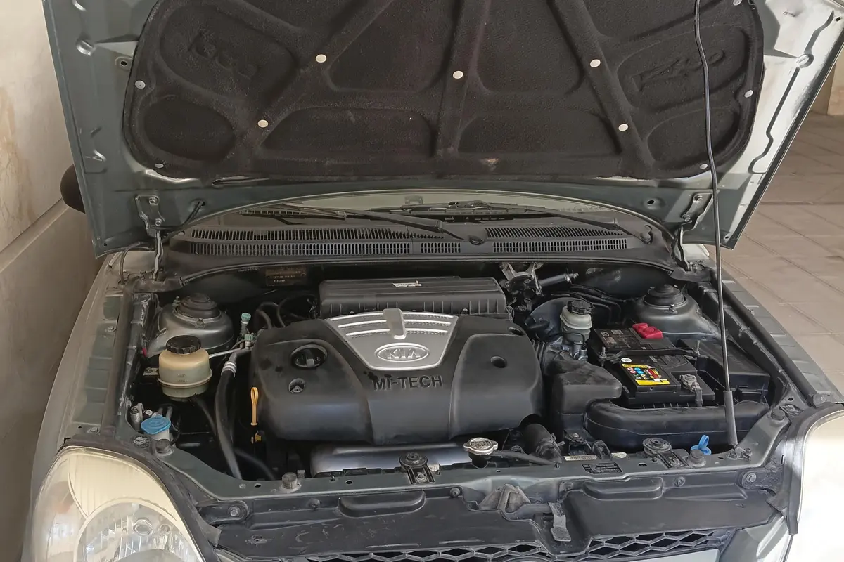 کیا،  ریو (مونتاژ)