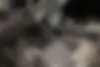 لاماری  ایما