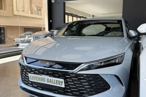 بی وای دی، چین ال DMi