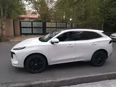 لاماری، ایما