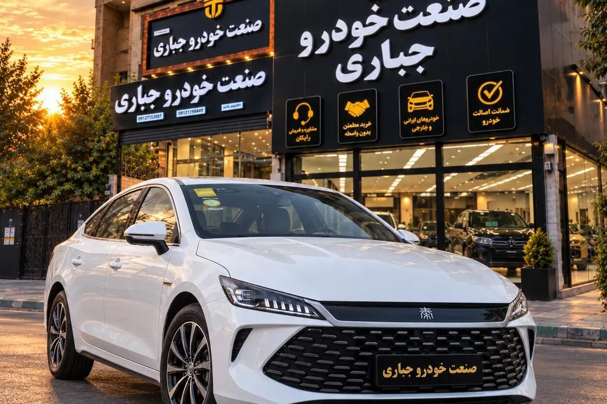 بی وای دی،  چین پلاس DMi