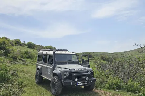 پاژن، چهار در
