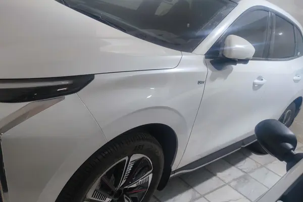 لاماری، ایما HEV