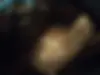 دنا،  پلاس EF7