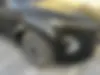 فونیکس، FX EV