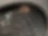 اوتار  07
