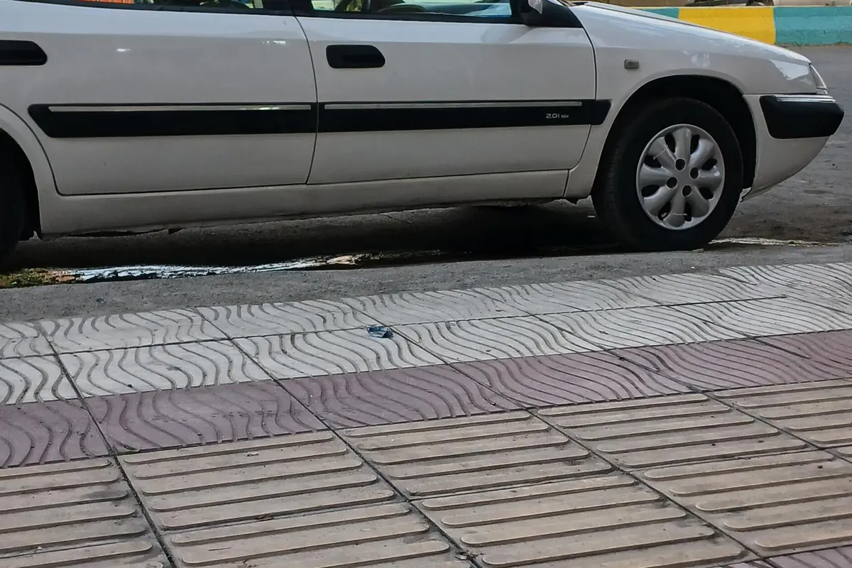 سیتروئن،  زانتیا