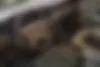 سمند  LX