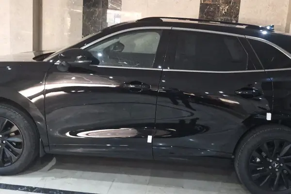 لاماری، ایما