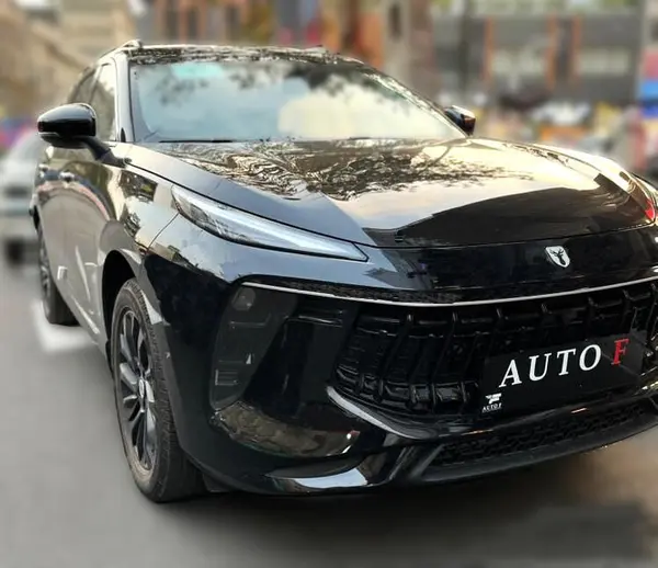 لاماری، ایما