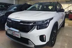 کیا، سلتوس