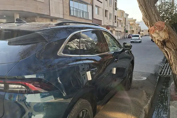 لاماری، ایما