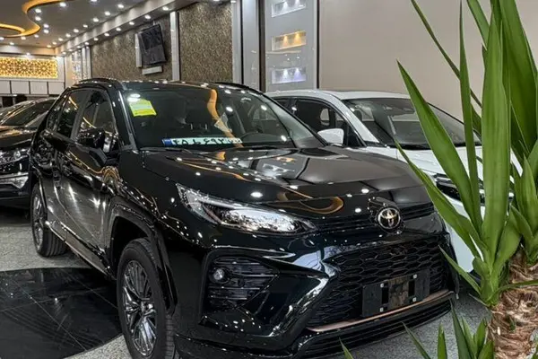 تویوتا، وایلدلندر