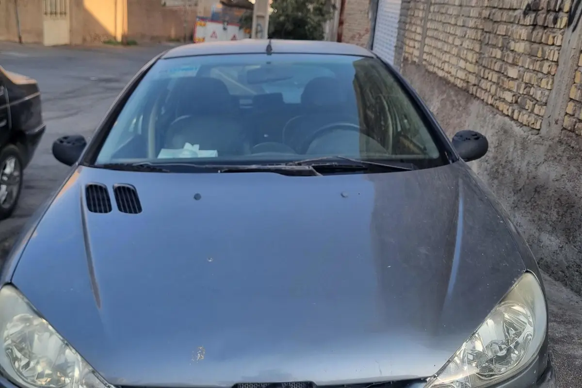 پژو،  206
