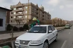 سمند، سریر