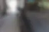 پراید  صندوق دار