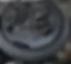 کیا  پیکانتو