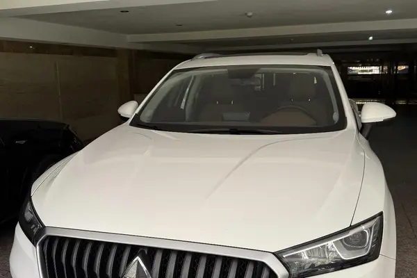 بورگوارد  BX5