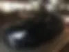 لاماری، اکو