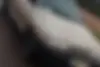 پراید  صندوق دار
