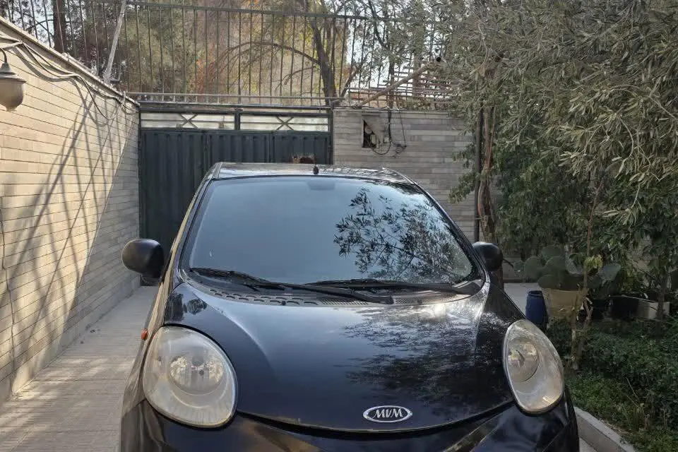 ام وی ام،  110S